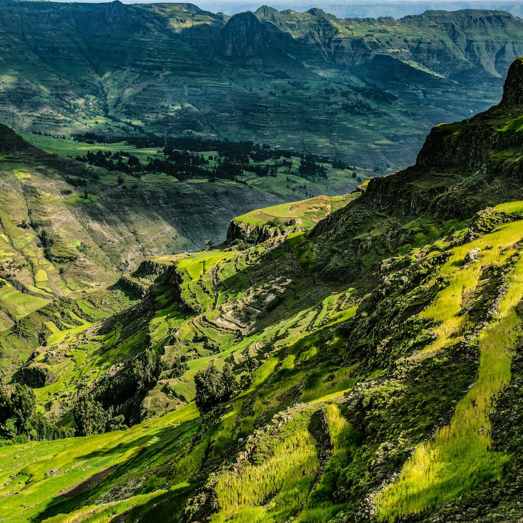 Ethiopian Coffee Highlands